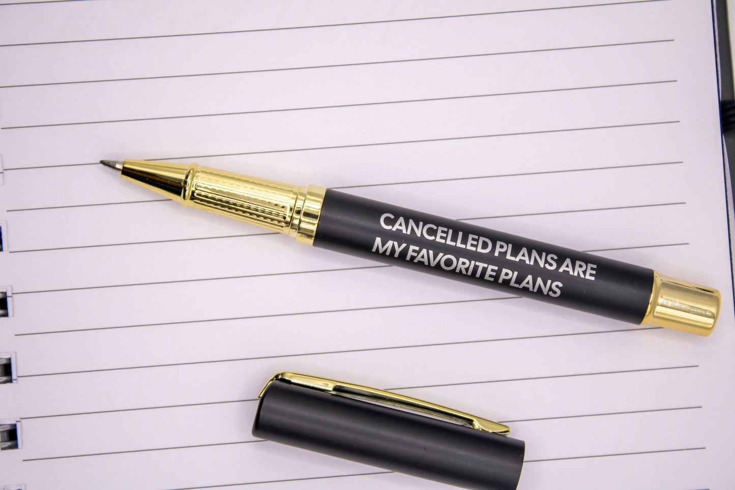 Lover Of Cancelled Plans Journal (funny, gift, notebook)