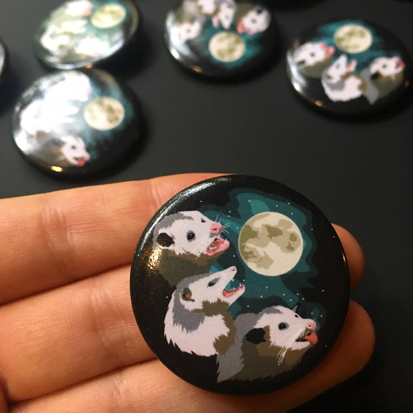 Three Possum Moon Pin