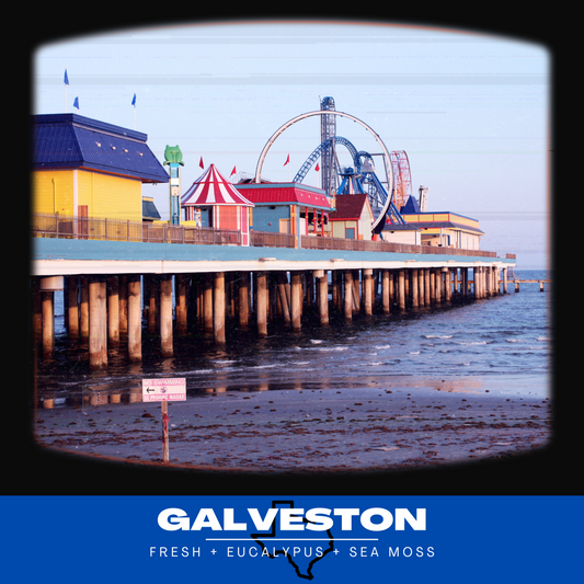 Galveston Island