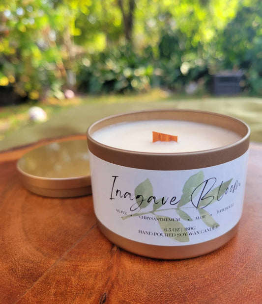 Leaforia 6.5 oz. Candles